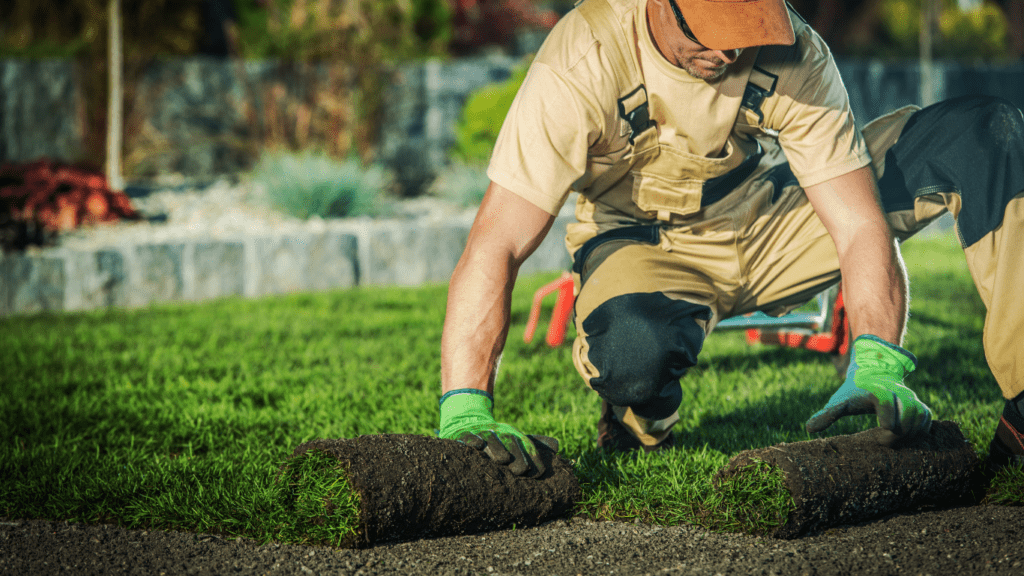 How Landscaping Can Increase Your Property’s Worth Boost Curb Appeal & Maximize ROI