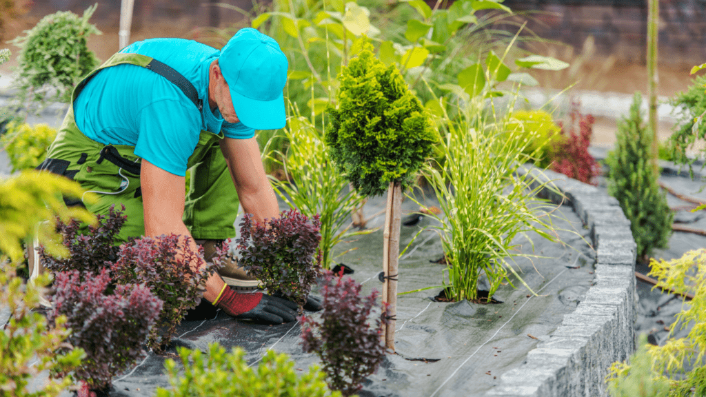 Landscaping