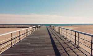 can goinbeens cook at home