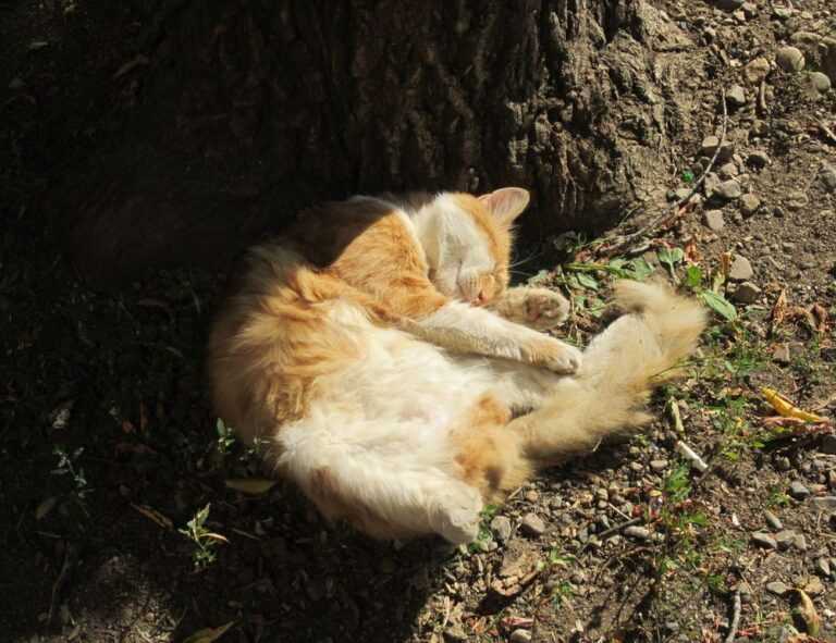 how architecture has changed over time kdainteriorment