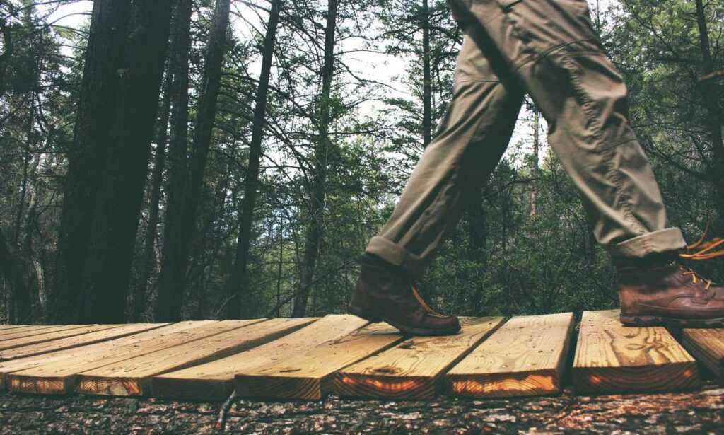 what are the zydaisis disease condition