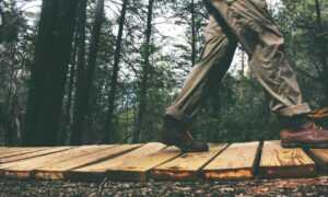 what are the zydaisis disease condition