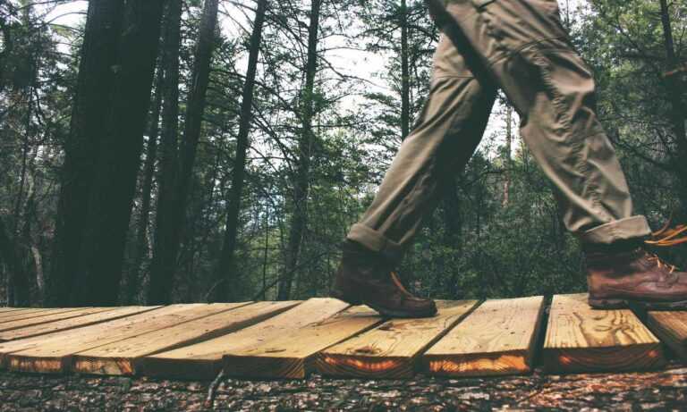 what are the zydaisis disease condition