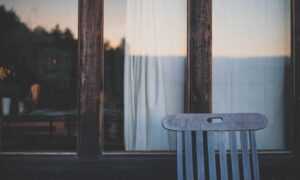 why widdeadvi lags in my pc