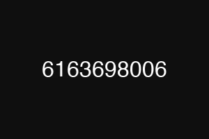 6163698006
