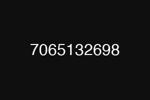 7065132698
