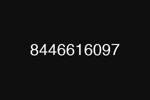 8446616097