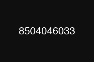 8504046033