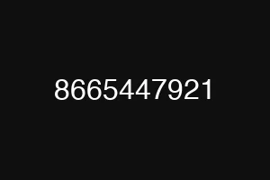 8665447921