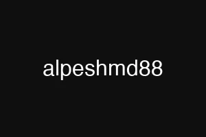 alpeshmd88