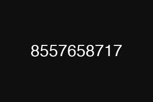 8557658717