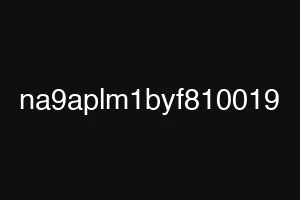 na9aplm1byf810019