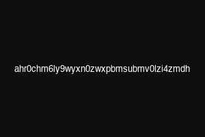 ahr0chm6ly9wyxn0zwxpbmsubmv0lzi4zmdh